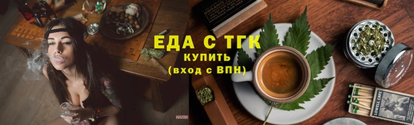 индика Козельск