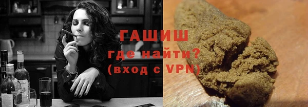 индика Козельск