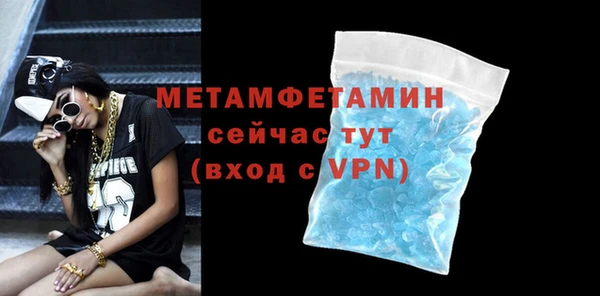 индика Козельск