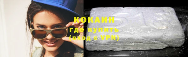 индика Козельск