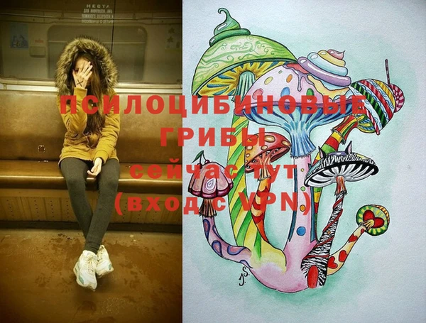 бошки Корсаков