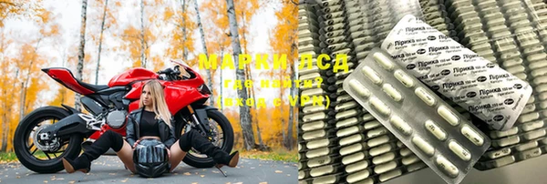 ПСИЛОЦИБИНОВЫЕ ГРИБЫ Коряжма
