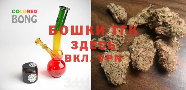ПСИЛОЦИБИНОВЫЕ ГРИБЫ Коряжма