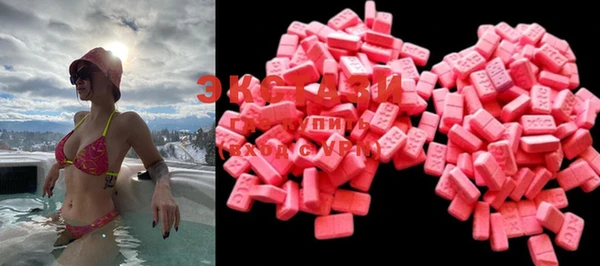 индика Козельск