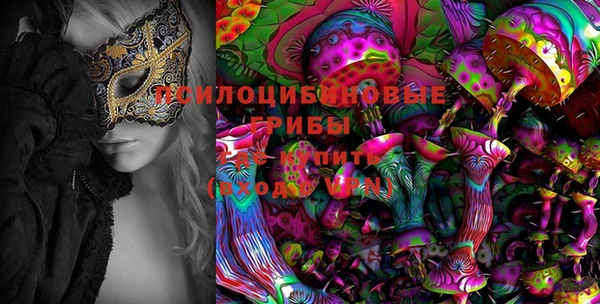 ПСИЛОЦИБИНОВЫЕ ГРИБЫ Коряжма