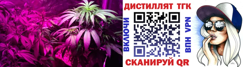 ТГК гашишное масло Белоярский