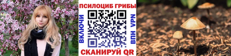 Купить закладки  Белоярский  Псилоцибиновые грибы Psilocybe 