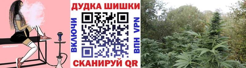 Купить где  Белоярский  Шишки марихуана тримм 